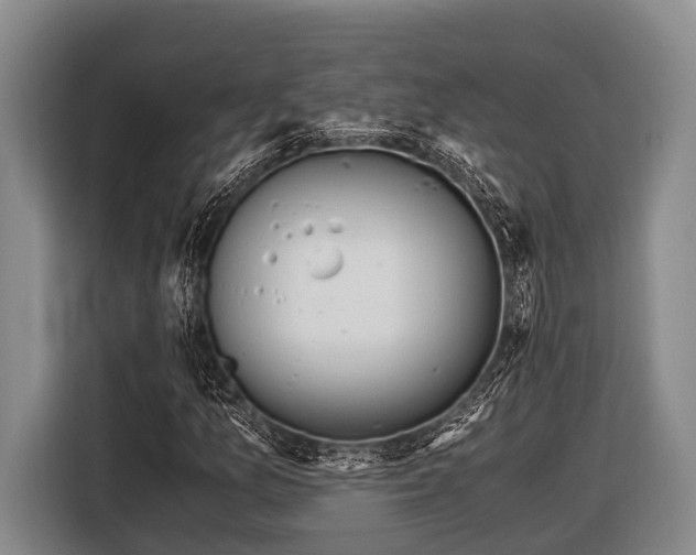 X0000116861157200912291254