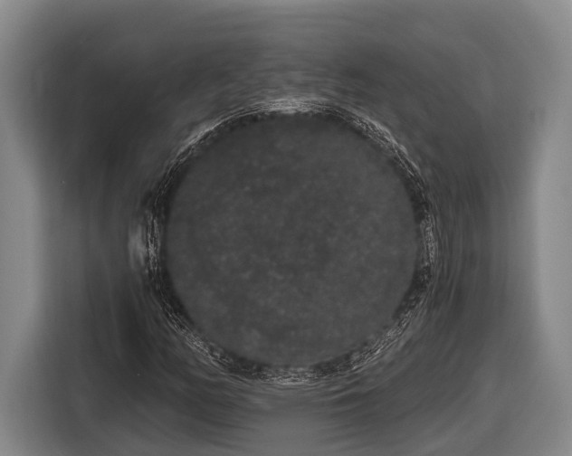 X0000116861158200912291254