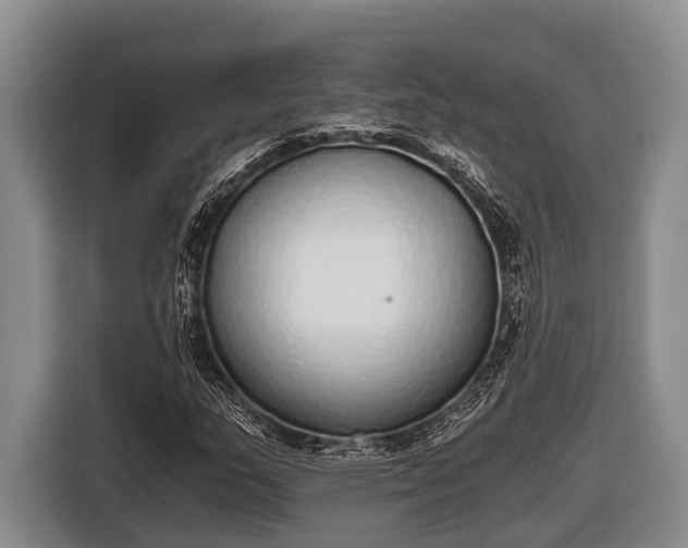 X0000116861159200912291254