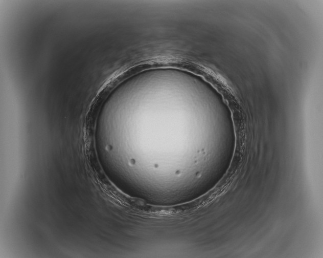 X0000116861160200912291254