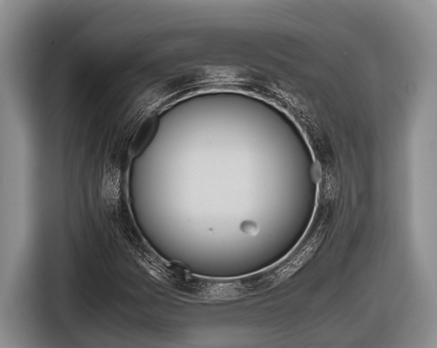 X0000116861161200912291254