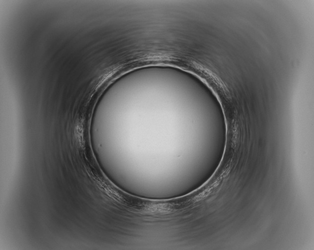 X0000116861162200912291254