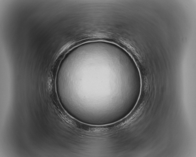 X0000116861163200912291254