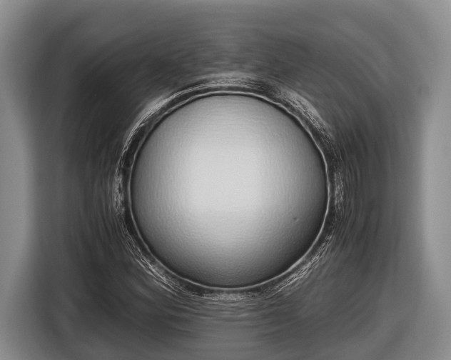 X0000116861164200912291254