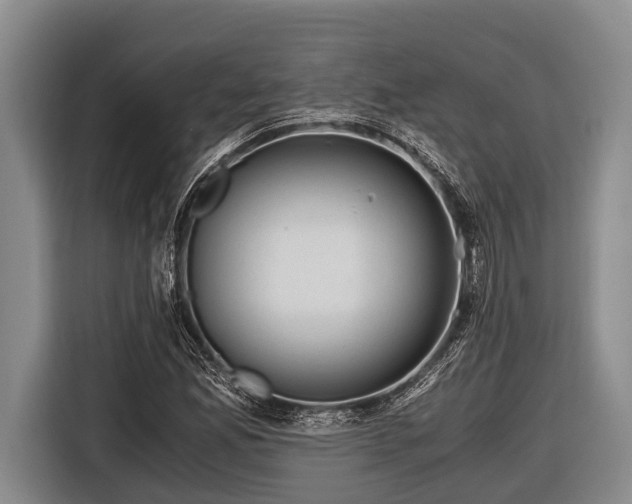 X0000116861165200912291254