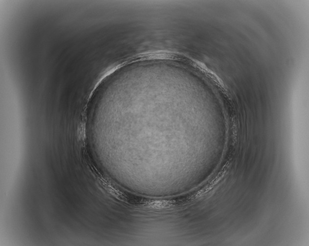 X0000116861166200912291254