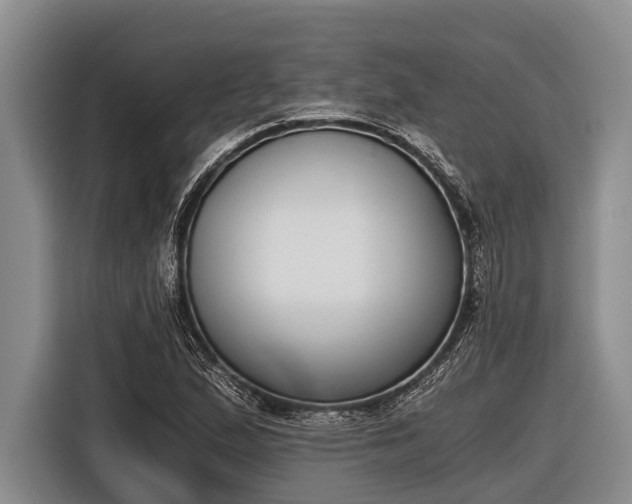 X0000116861167200912291254