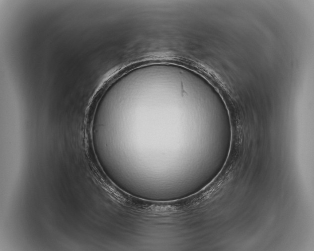 X0000116861168200912291254