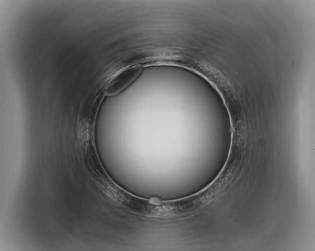 X0000116861169200912291254