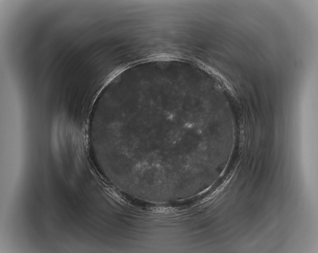 X0000116861170200912291254