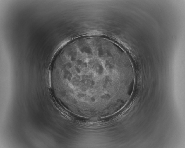 X0000116861171200912291254