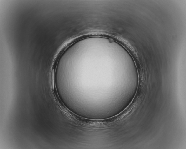 X0000116861175200912291254