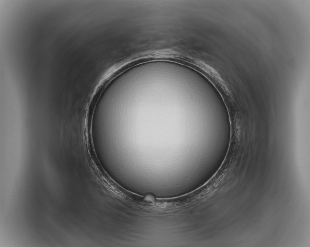 X0000116861176200912291254
