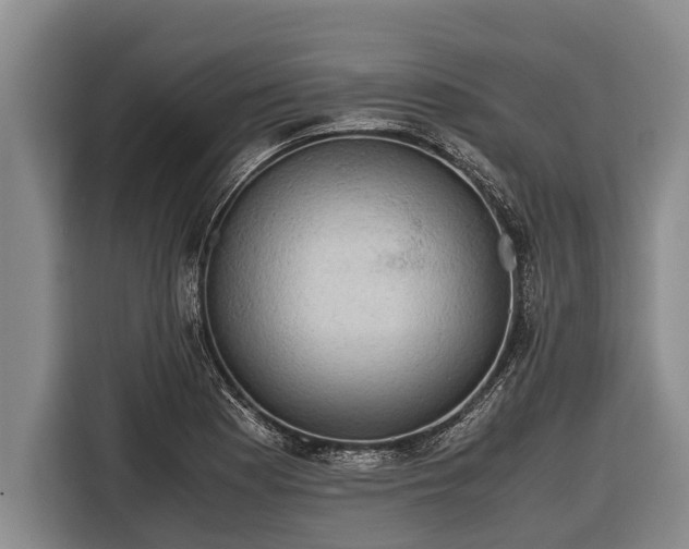 X0000116861177200912291254