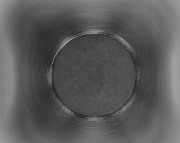 X0000116861178200912291254