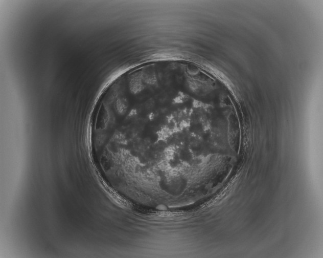 X0000116861179200912291254