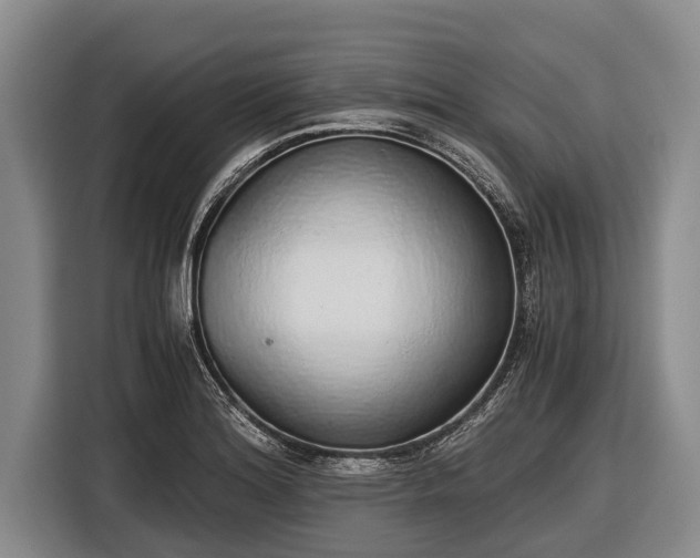 X0000116861180200912291254