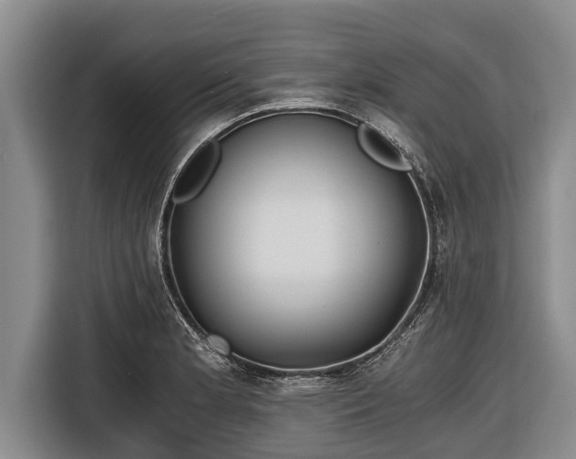 X0000116861181200912291254