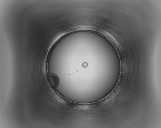 X0000116861182200912291254