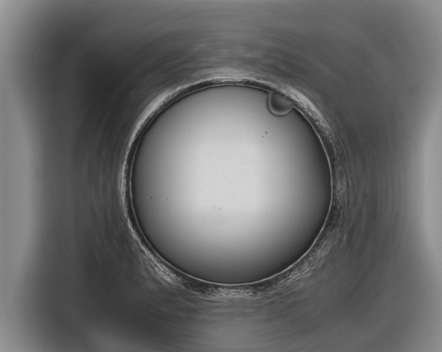 X0000116861183200912291254