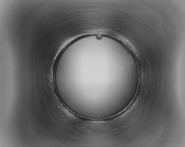 X0000116861184200912291254