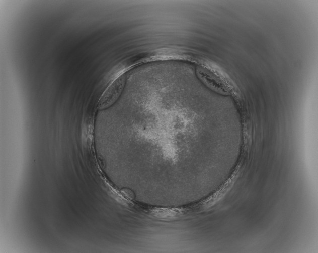 X0000116861185200912291254