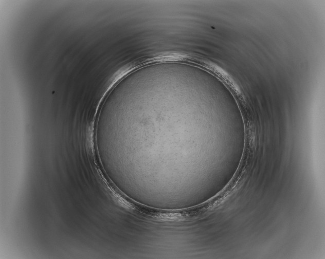 X0000116861186200912291254