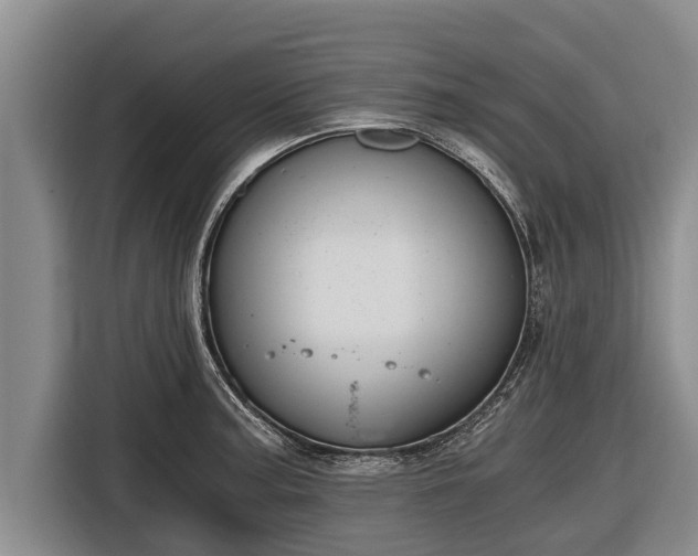 X0000116861187200912291254