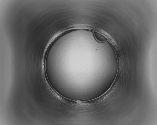X0000116861188200912291254