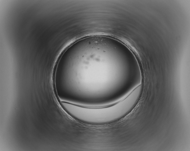 X0000116861189200912291254