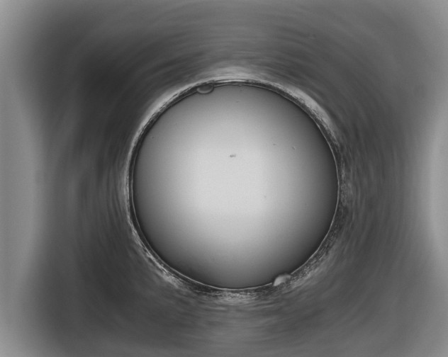 X0000116861191200912291254