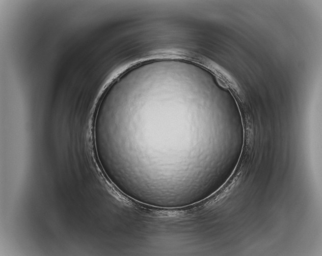 X0000116861192200912291254