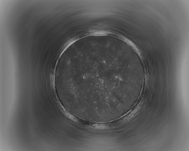 X0000116861194200912291254