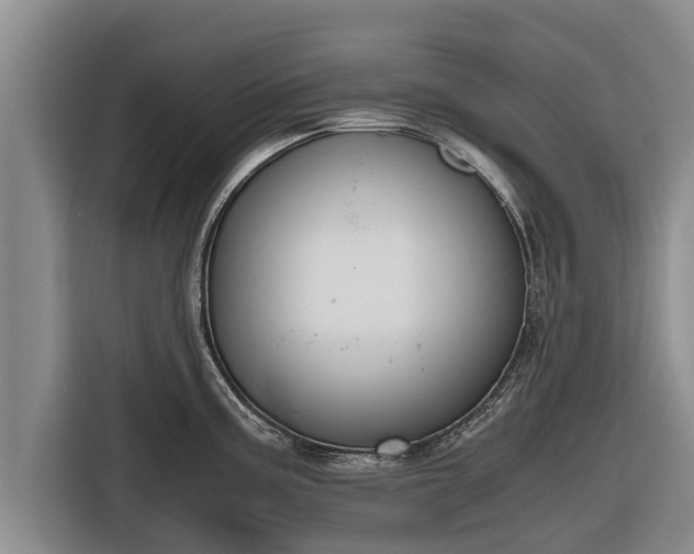 X0000116861195200912291254