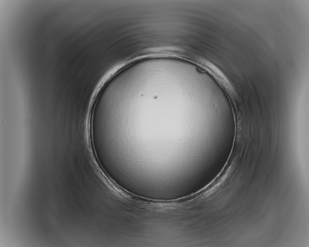 X0000116861196200912291253