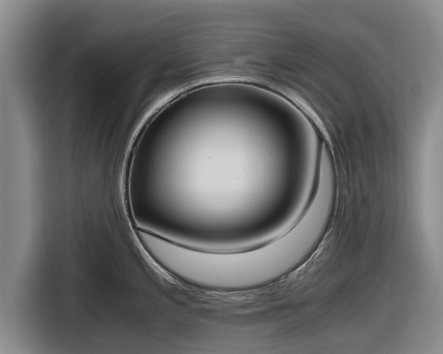 X0000116861197200912291253