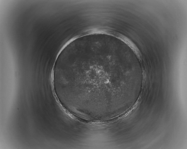 X0000116861198200912291253