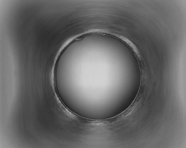 X0000116861199200912291253