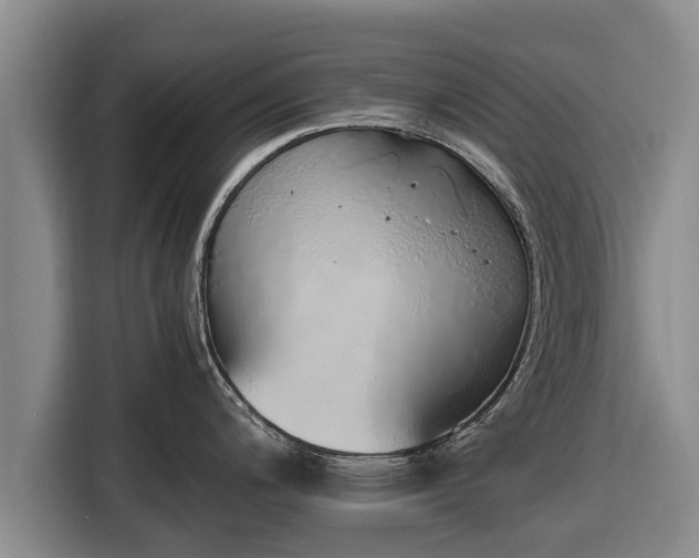 X0000116861200200912291253
