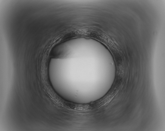 X0000116861201200912291253
