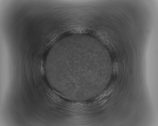 X0000116861202200912291253