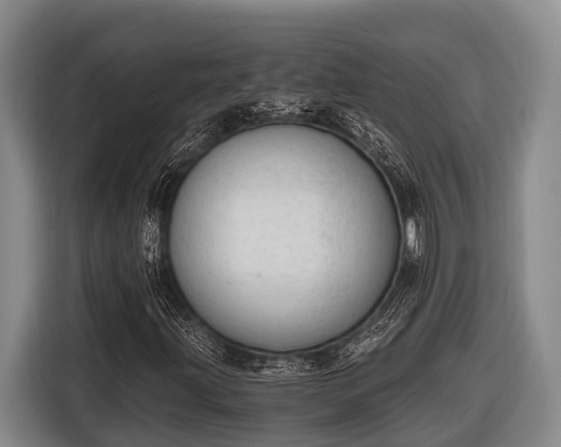 X0000116861203200912291253