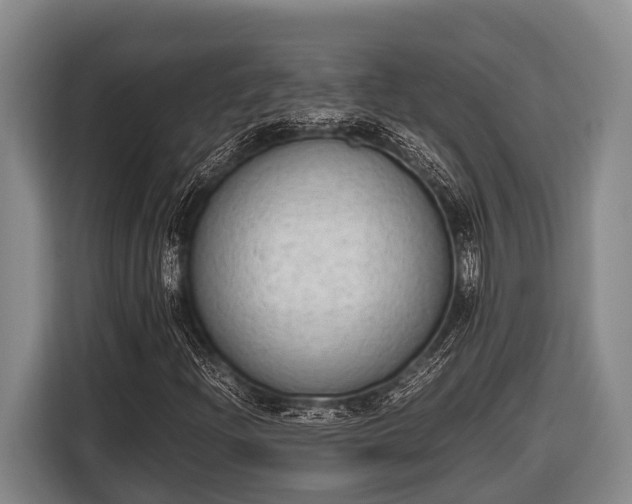 X0000116861204200912291253