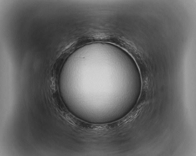 X0000116861205200912291253