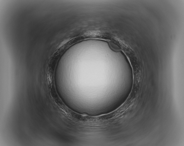 X0000116861206200912291253