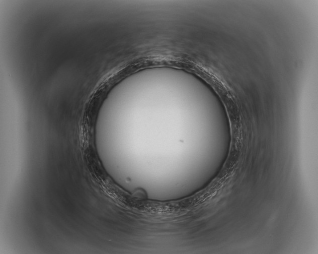 X0000116861207200912291253