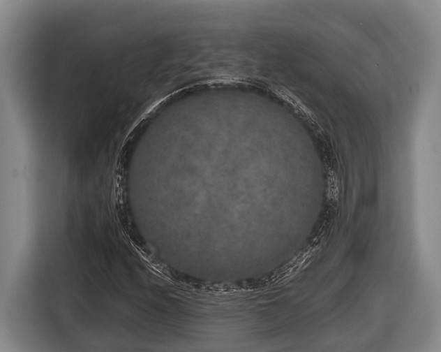 X0000116861208200912291253