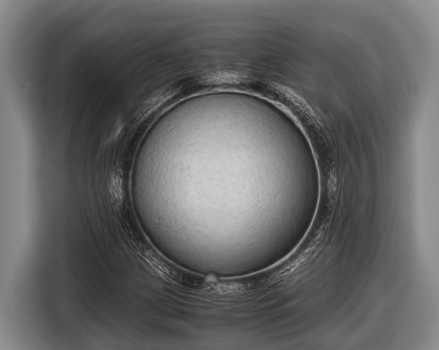 X0000116861209200912291253
