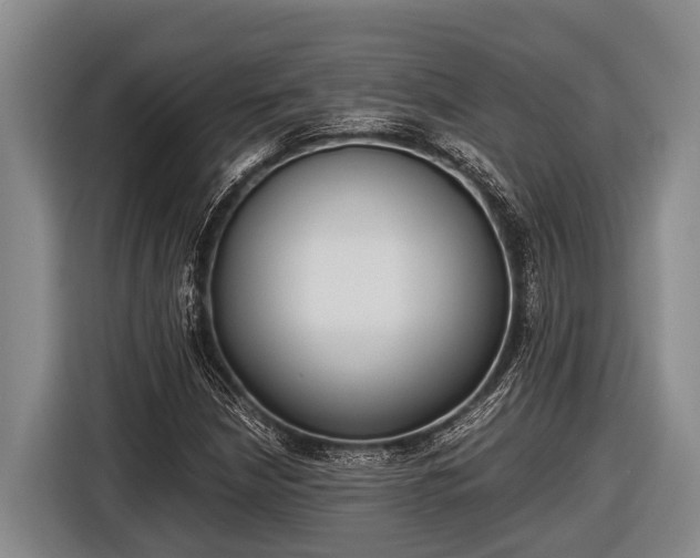 X0000116861210200912291253