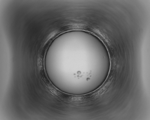 X0000116861211200912291253